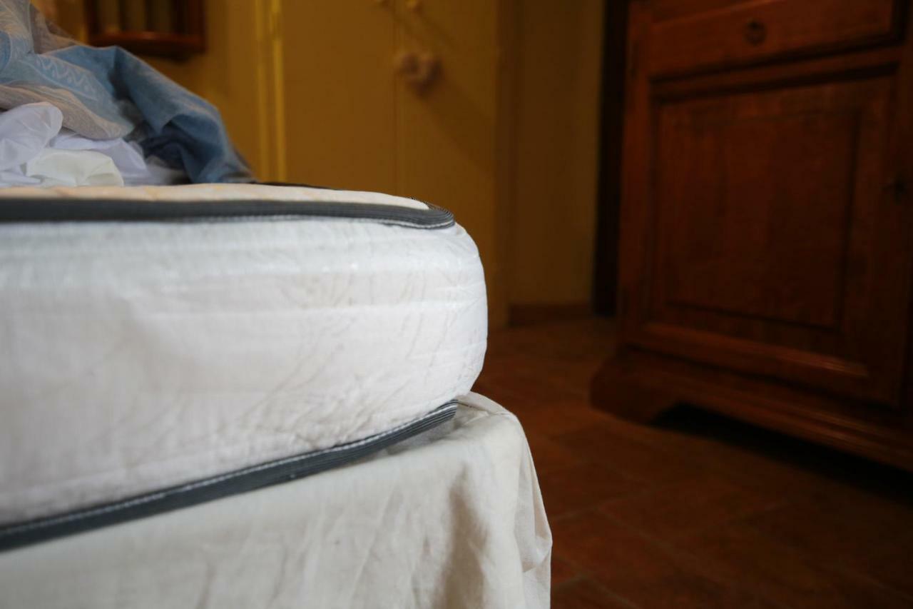 Villa Marina Bosco  Extérieur photo