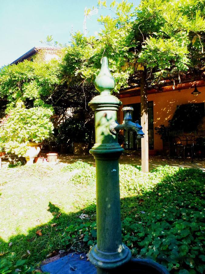 Villa Marina Bosco  Extérieur photo